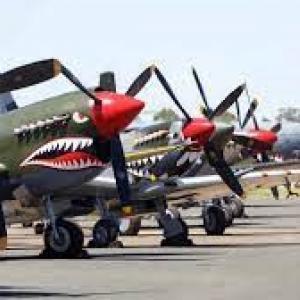 Temora "Warbirds"